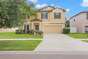 36101 Stable Wilk Ave, ZEPHYRHILLS 36101 Stable Wilk Ave, ZEPHYRHILLS