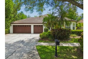 10502 Castleford Way, TAMPA 10502 Castleford Way, TAMPA