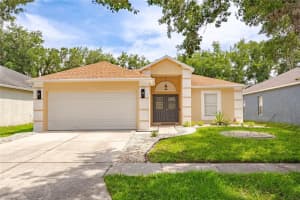 19204 Wood Sage Dr, TAMPA 19204 Wood Sage Dr, TAMPA