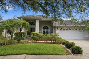 3702 Cypress Meadows Rd, TAMPA 3702 Cypress Meadows Rd, TAMPA
