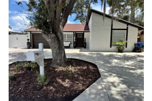 10114 Briarwick Ct, TAMPA 10114 Briarwick Ct, TAMPA