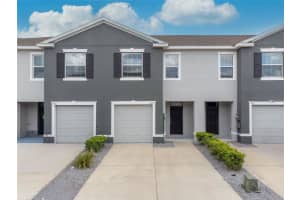 8619 Falling Blue Pl, RIVERVIEW