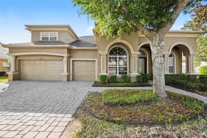14906 Man O War Dr, ODESSA 14906 Man O War Dr, ODESSA