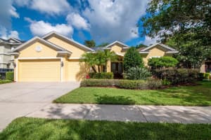 3815 Misty Willow Way, LUTZ