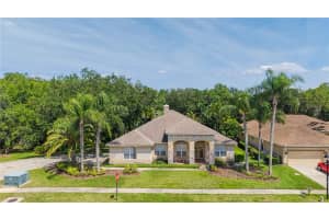 18615 Chemille Dr, LUTZ 18615 Chemille Dr, LUTZ