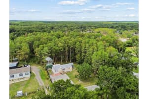 17808 Dogwood Dr, LUTZ 17808 Dogwood Dr, LUTZ