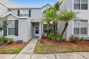 6236 Osprey Lake Cir, RIVERVIEW 6236 Osprey Lake Cir, RIVERVIEW