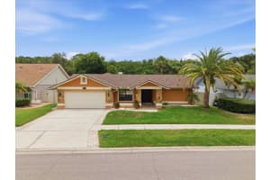 11803 Sweetpea Ct, TAMPA