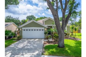 11514 Wellman Dr, RIVERVIEW 11514 Wellman Dr, RIVERVIEW