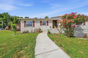 10310 Blue Field Ct, THONOTOSASSA 10310 Blue Field Ct, THONOTOSASSA