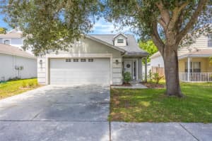 8427 Hawbuck St, TRINITY 8427 Hawbuck St, TRINITY