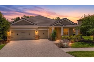 11882 Frost Aster Dr, RIVERVIEW 11882 Frost Aster Dr, RIVERVIEW