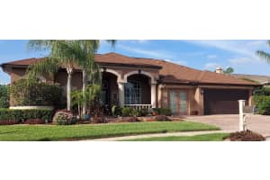 22523 Willow Lakes Dr, LUTZ