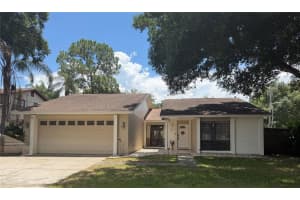 15701 Country Lake Dr, TAMPA
