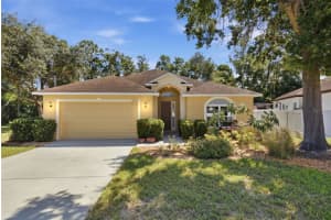 15107 Monet Dr, TAMPA