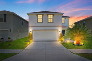 13576 Whiskey Daisy Dr, DADE CITY 13576 Whiskey Daisy Dr, DADE CITY