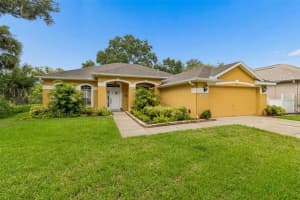 10035 Remington Dr, RIVERVIEW