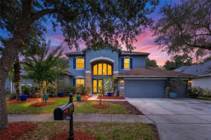 8380 Golden Prairie Dr, TAMPA