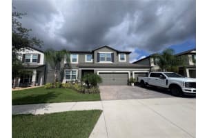 3117 King Fern Dr, WIMAUMA