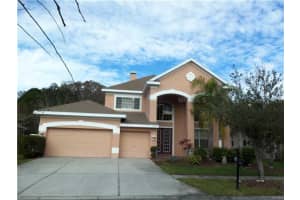 11657 Renaissance View Ct , TAMPA 11657 Renaissance View Ct , TAMPA