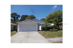 11111 Indian Oaks Dr , TAMPA 11111 Indian Oaks Dr , TAMPA