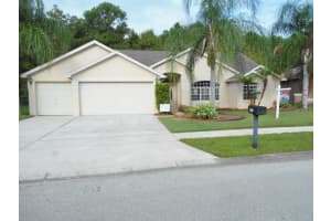 1405 Haverhill Dr , NEW PORT RICHEY