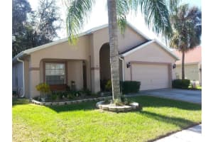 6810 Silver Branch Ct , TAMPA 6810 Silver Branch Ct , TAMPA