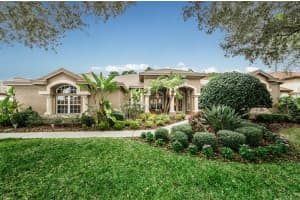 4425 Roanoak Way, PALM HARBOR