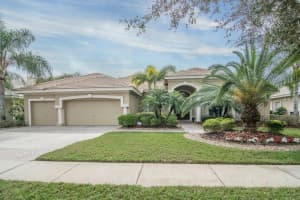 9901 Tree Tops Lake Rd, TAMPA