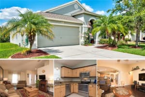 30337 Princess Bay Dr, WESLEY CHAPEL