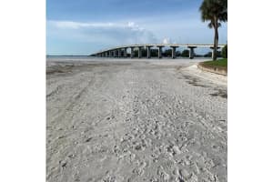 800 S Gulfview Blvd #302, CLEARWATER BEACH