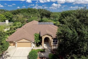 3913 Arlington Dr, PALM HARBOR
