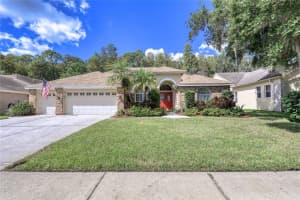 4463 Fallbrook Blvd, PALM HARBOR