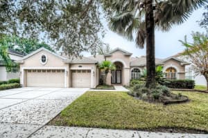 2203 Climbing Ivy Dr, TAMPA