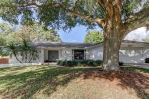 2007 Castille Dr, DUNEDIN 2007 Castille Dr, DUNEDIN