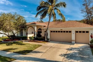 1961 Dunbrody Ct, DUNEDIN