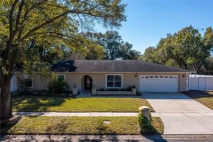 13323 Lake George Ln, TAMPA