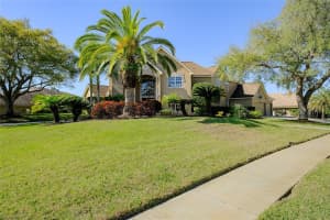 3781 Executive Dr, PALM HARBOR