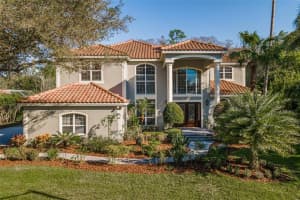 4108 Arlington Dr, PALM HARBOR
