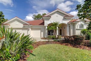2899 Grey Oaks Blvd, TARPON SPRINGS
