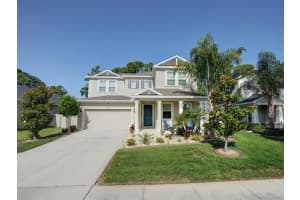 1241 Windy Bay Shoal, TARPON SPRINGS