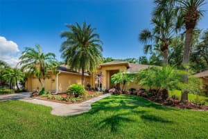 4360 Fallbrook Blvd, PALM HARBOR