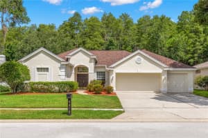 4419 Fallbrook Blvd, PALM HARBOR