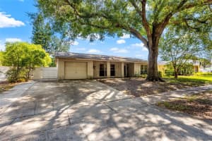 6919 Spanish Moss Cir, TAMPA
