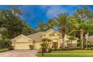 1639 Eagles Reach Dr, TARPON SPRINGS