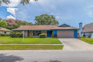 2002 Castille Dr, DUNEDIN 2002 Castille Dr, DUNEDIN