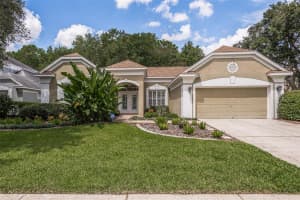 4284 Ellinwood Blvd, PALM HARBOR
