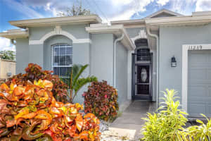 11239 Madison Park Dr, TAMPA