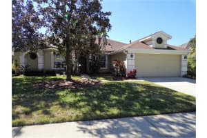 10744 Ayrshire Dr, TAMPA