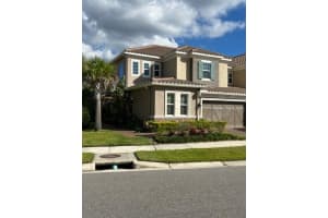 12325 Terracina Chase Ct, TAMPA 12325 Terracina Chase Ct, TAMPA